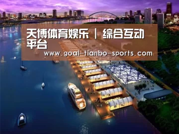 案例展示八