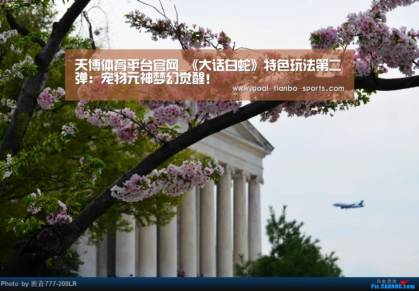 天博体育平台官网