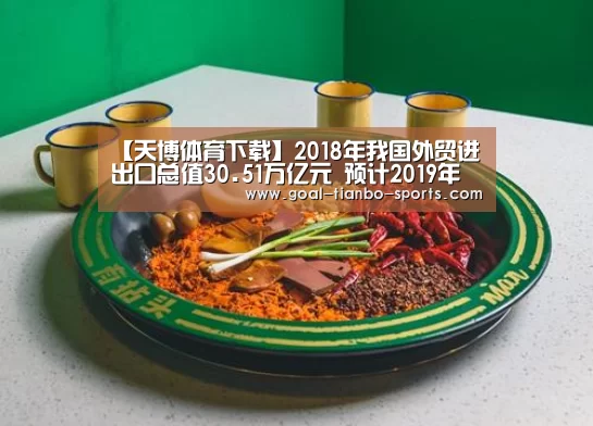 【天博体育下载】2018年我国外贸进出口总值30.51万亿元 预计2019年外贸发展有望稳中提质(图3) 天博体育app官方入口
